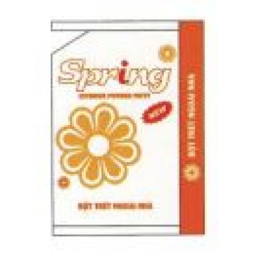 Bột Trét Ngoài Trời Spring EXT Putty - New 40kg